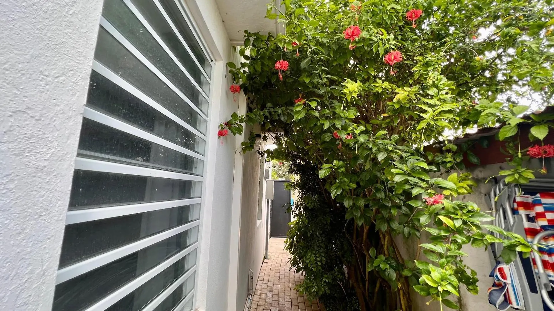 Guest house Sonsolea Hotel Luquillo